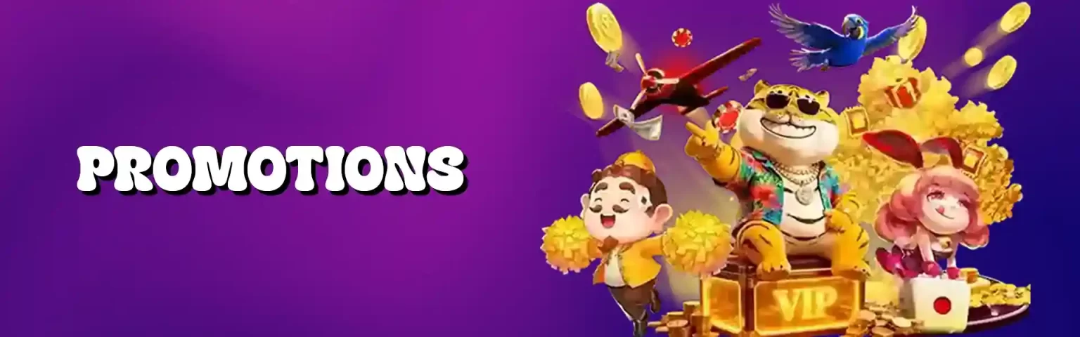 PPGAMING PROMOTIONS